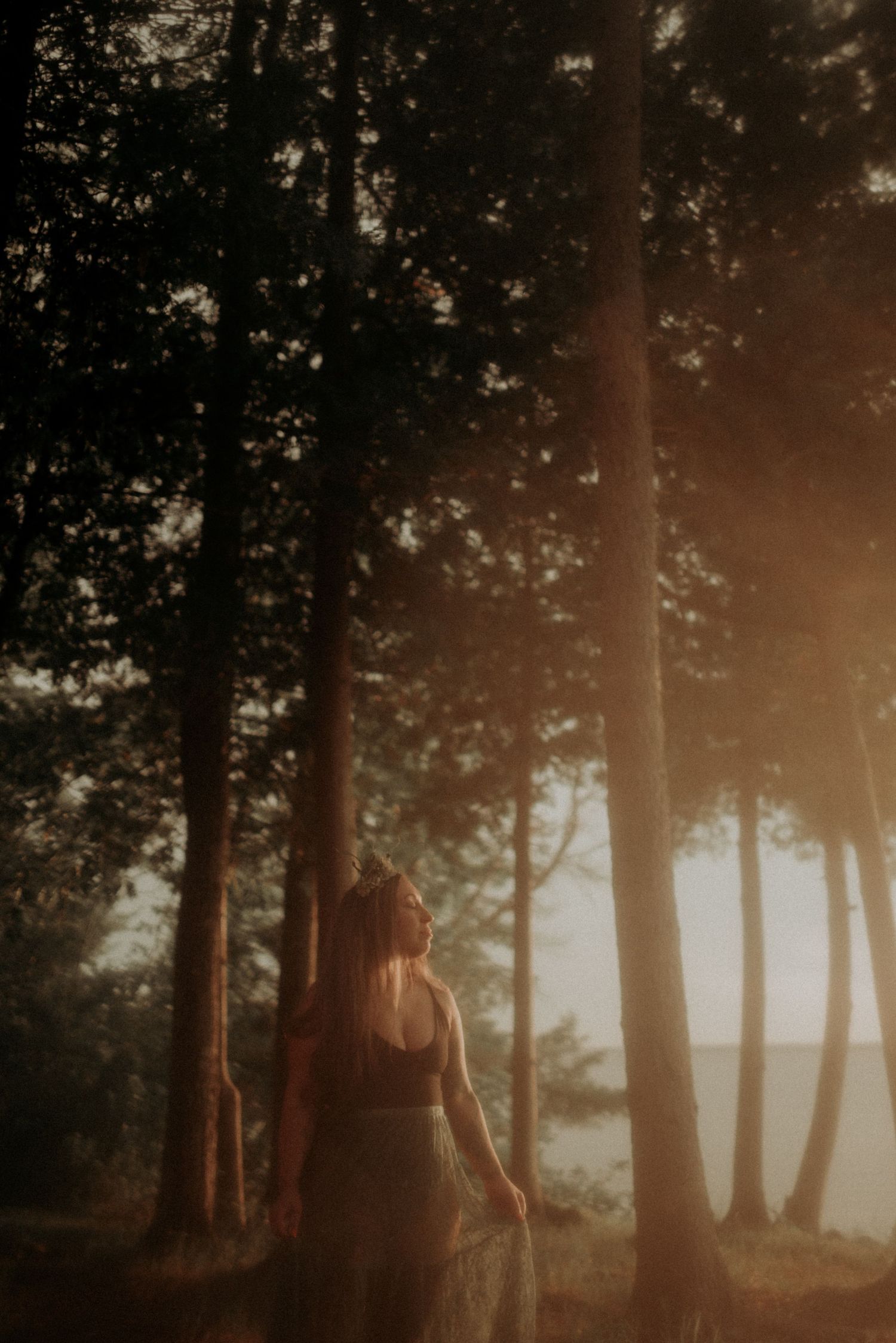 Dreamy forest scene with soft sunlight filtering through tall trees as a figure stands in a flowing dress.