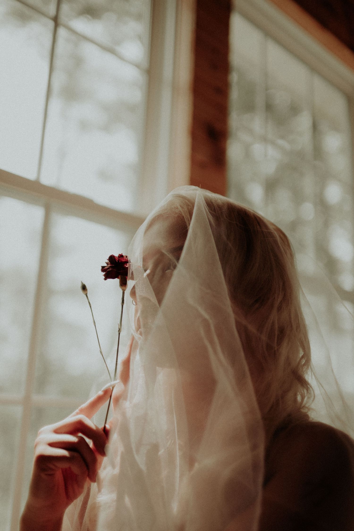 Romantic portrait holding flower through sheer veil by sunlit window.