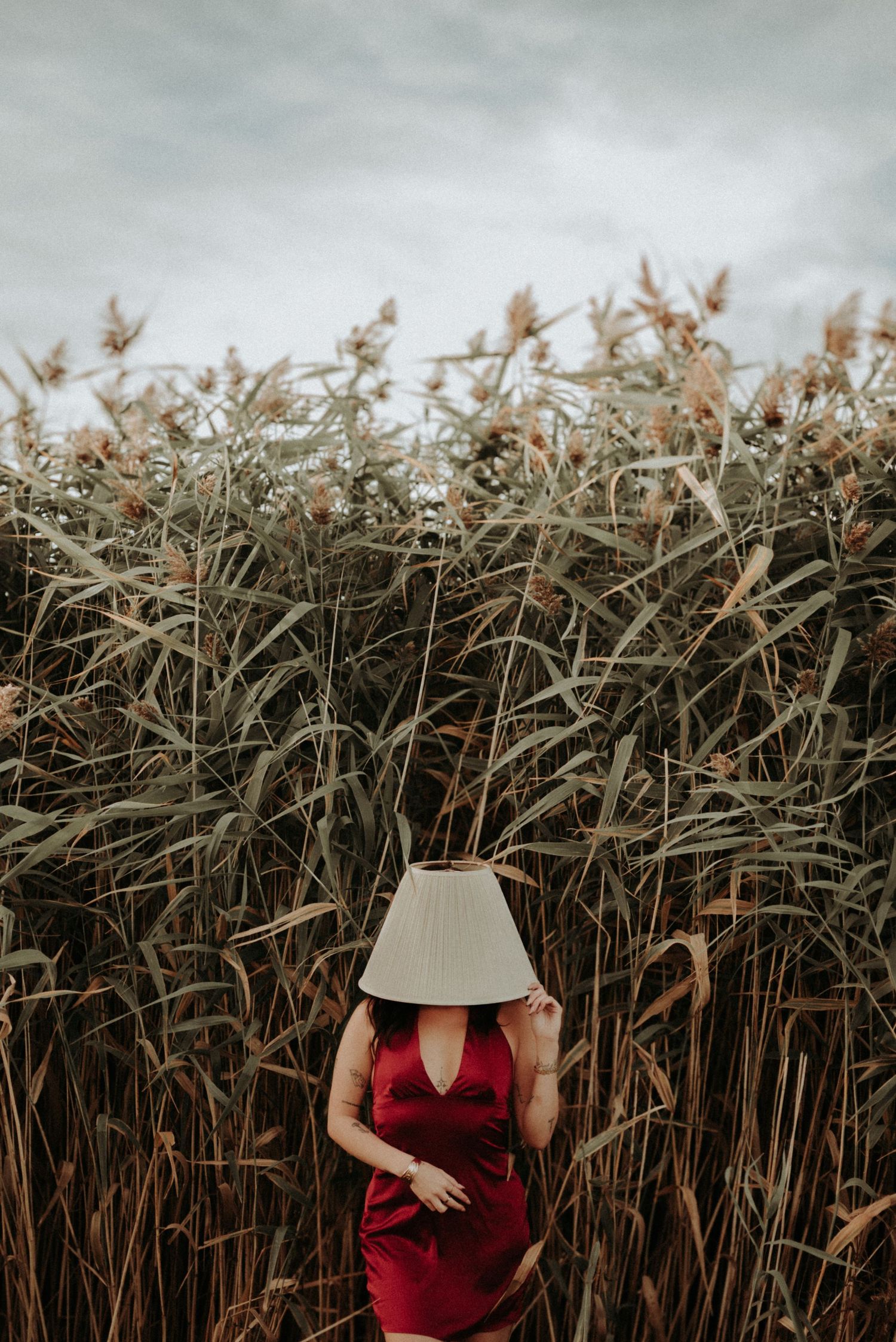 A figure in a red dress stands against tall brown wheat or grain stalks under a moody cloudy sky.