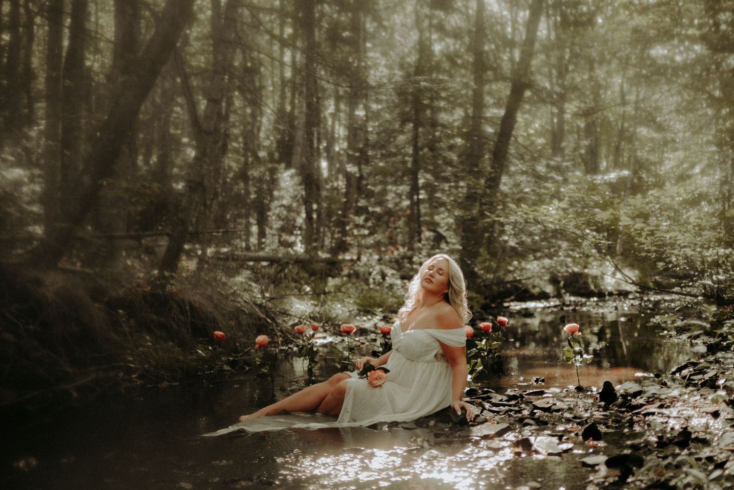 Ethereal forest scene with sunlight filtering through trees creating a dreamy woodland atmosphere.