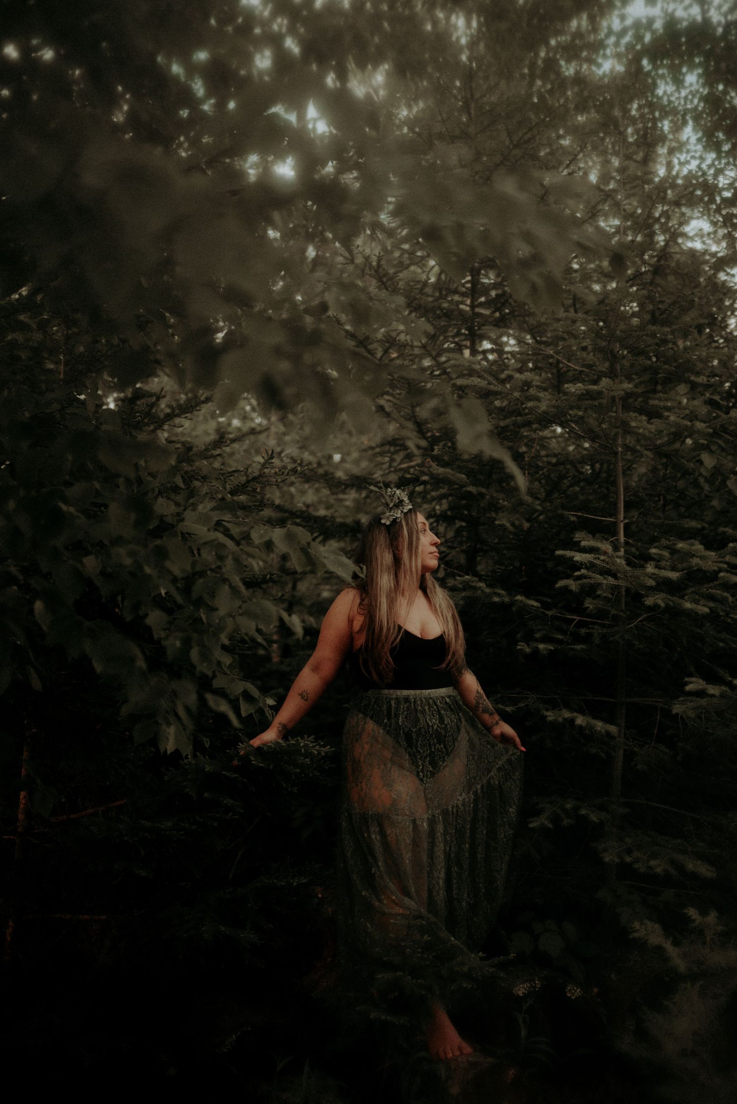 Moody forest landscape with filtered sunlight creating dramatic shadows through trees.
