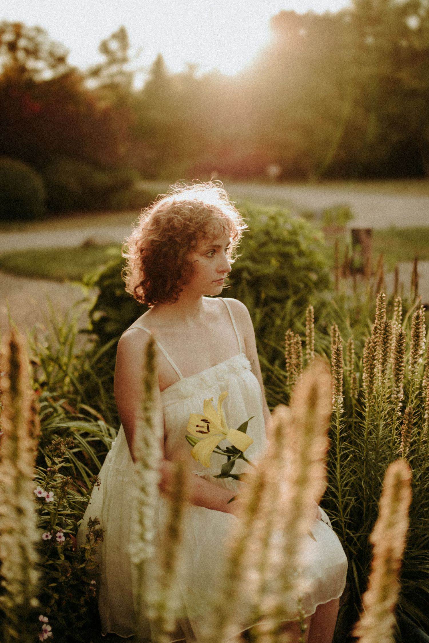 A dreamy golden hour portrait of someone in a white dress standing among tall ornamental grasses in a garden setting.