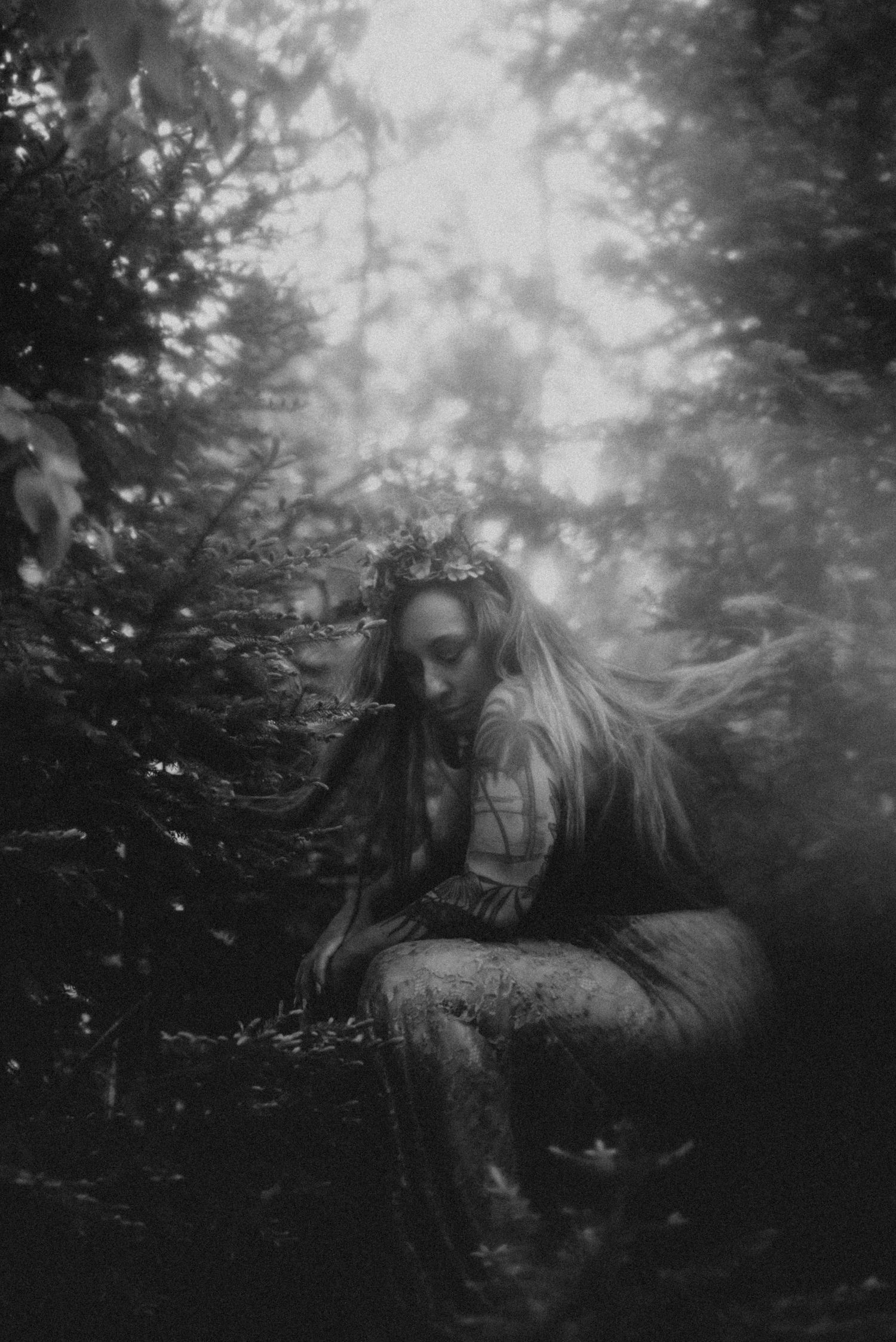 Ethereal black and white forest scene with sunlight filtering through misty trees.