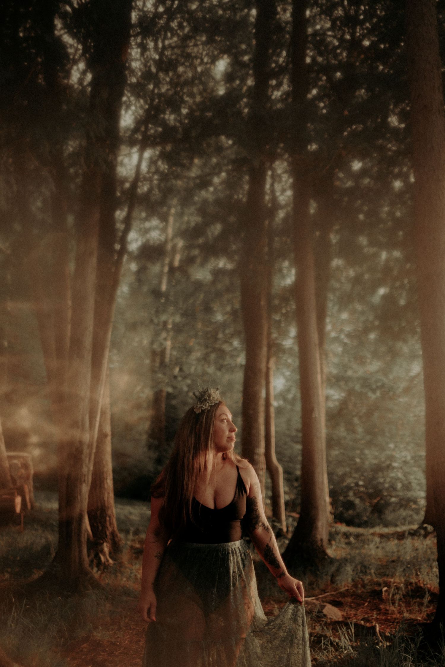 Ethereal forest photography with warm golden light streaming through trees and mystical atmosphere.