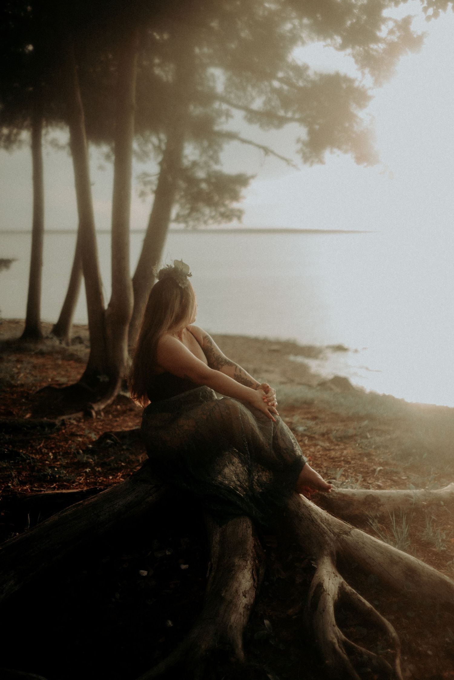 Artistic nature photography capturing a peaceful moment by the water's edge in golden light.