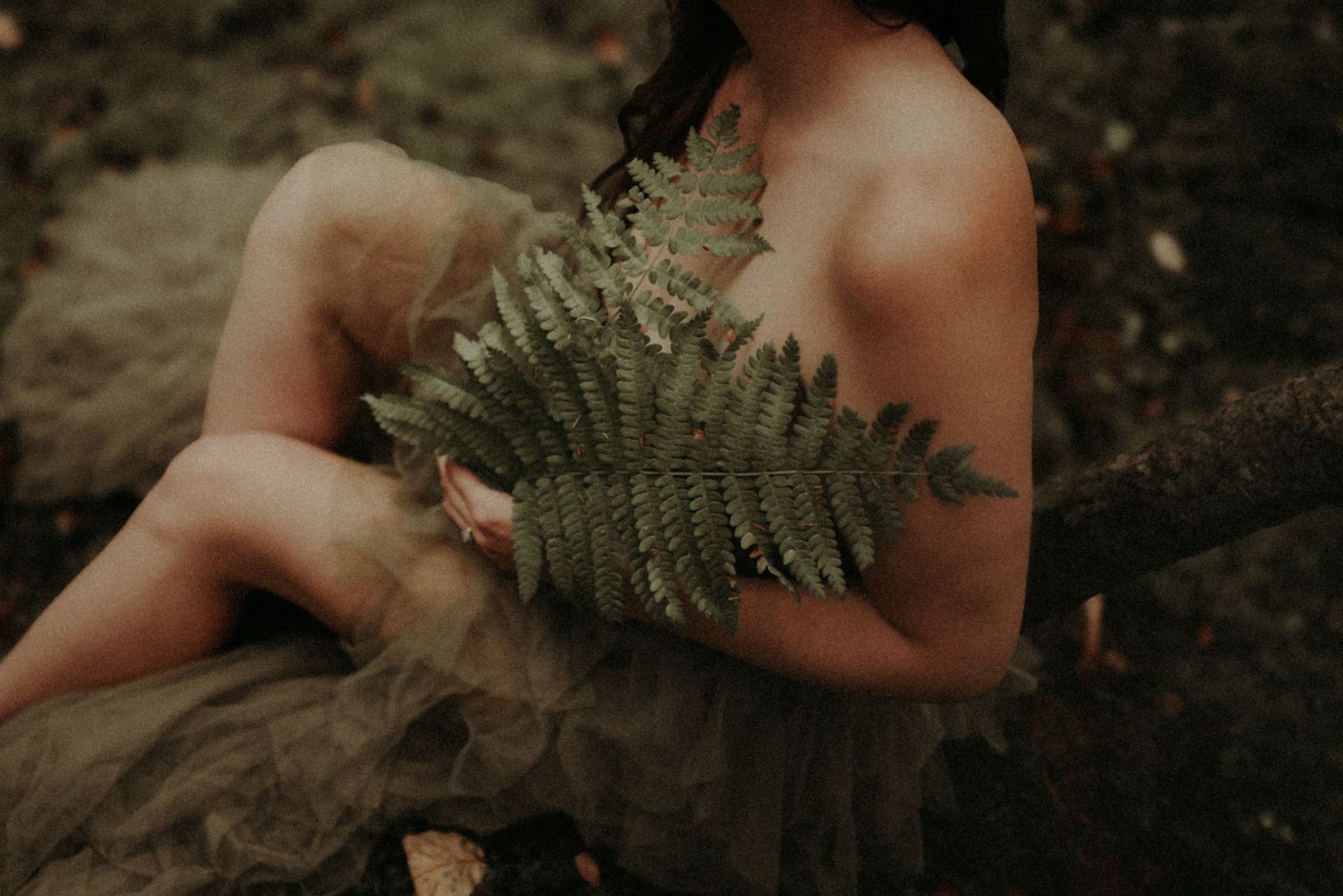 A fern leaf held against a moody dark background creates an ethereal natural composition.