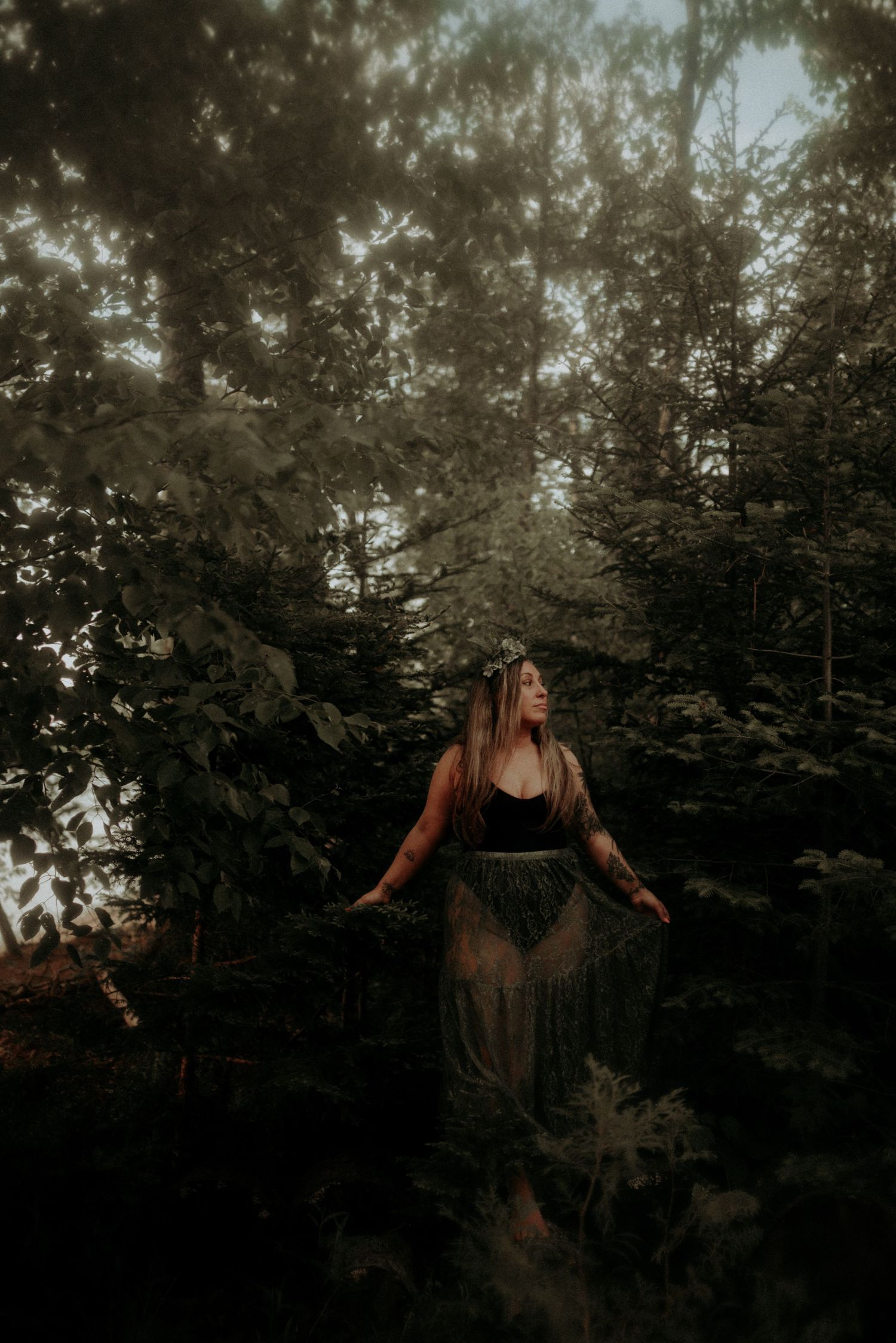 Mystic forest scene with sunlight streaming through evergreen branches.