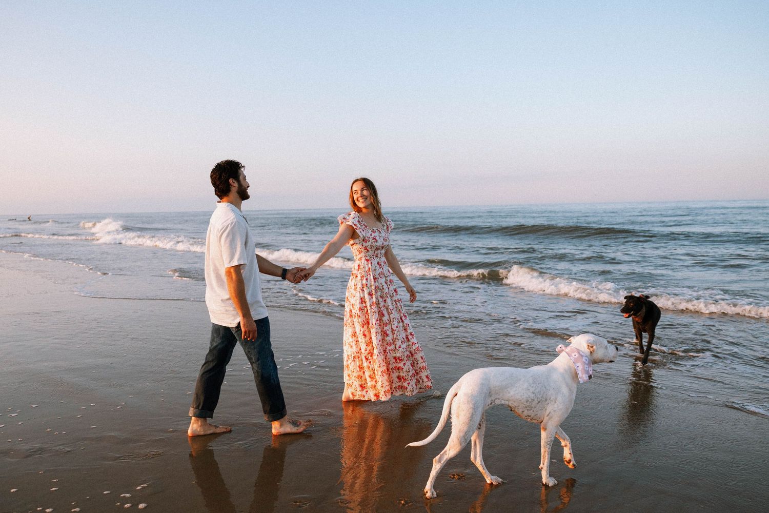 Virginia Beach wedding photographer photographs couples session with dogs.