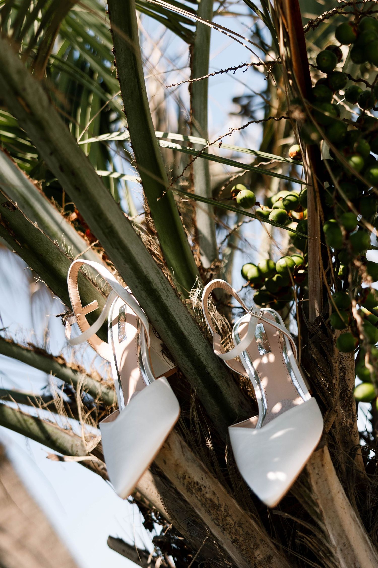 Virginia Beach wedding photographer. Historic Cavalier Wedding