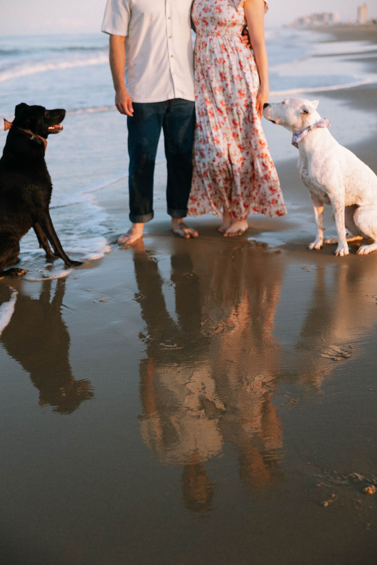 Virginia Beach wedding photographer photographs reflective moment with dogs.