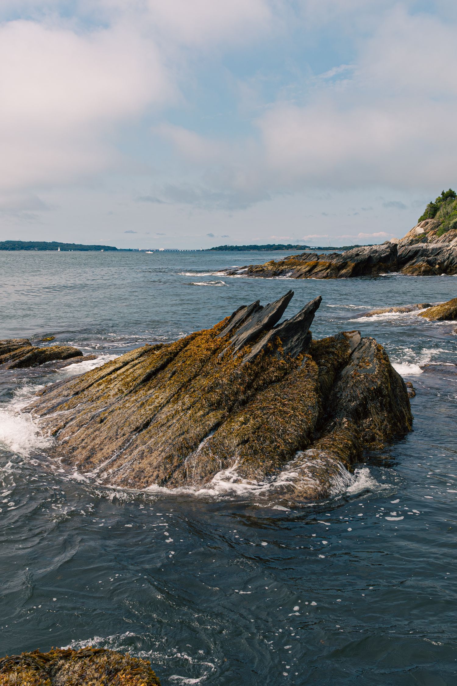 Rhode Island based photographer specializing in portraits, couples, branding, and more.