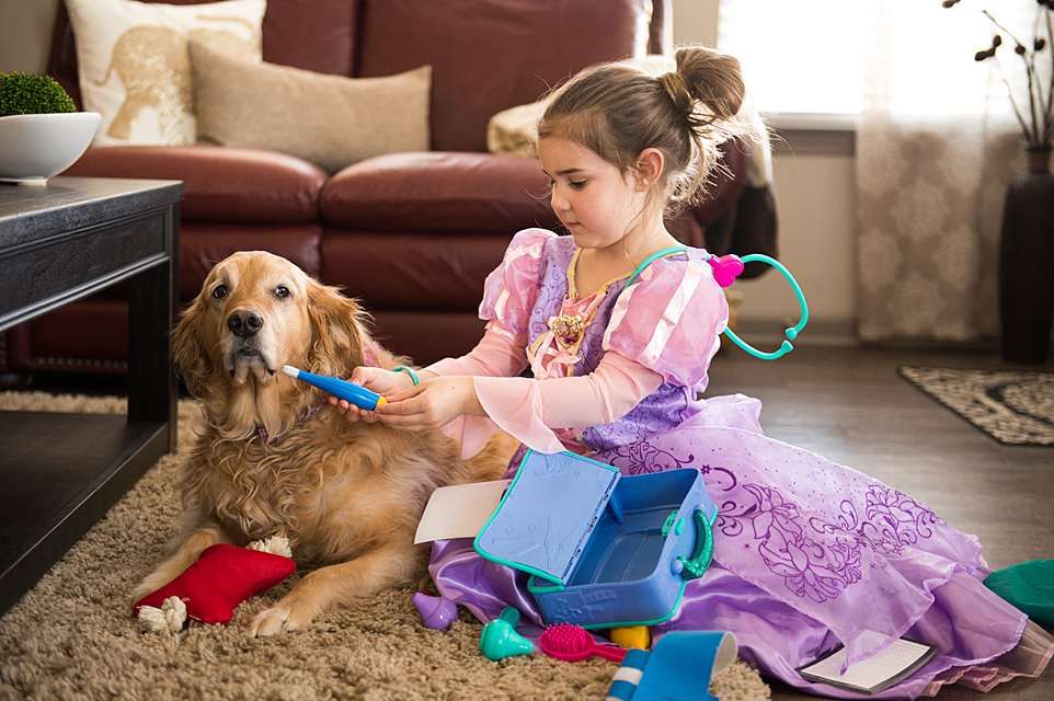 A girl in a pink dress plays veterinarian with her Golden Retriever on the living room floor.