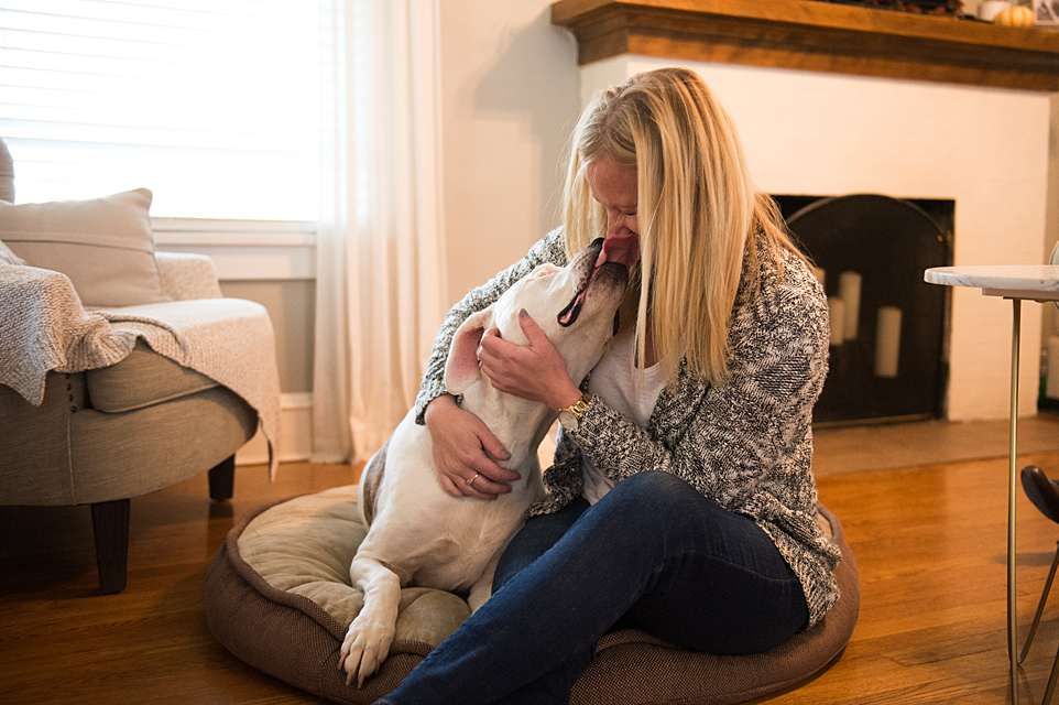 A white dog lovingly interacts with someone on a hardwood floor in a cozy living room.