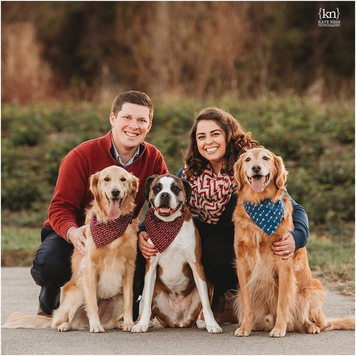 Family and their three happy dogs sitting together outdoors for a casual photo session in autumn.