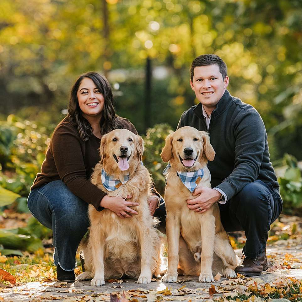 Two Golden Retrievers wearing matching bandanas pose with their owners in a colorful autumn setting.