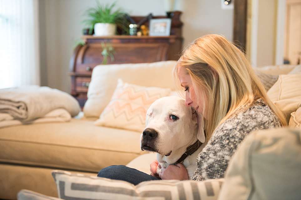 A white dog rests comfortably on a couch while looking at a laptop screen with its owner.