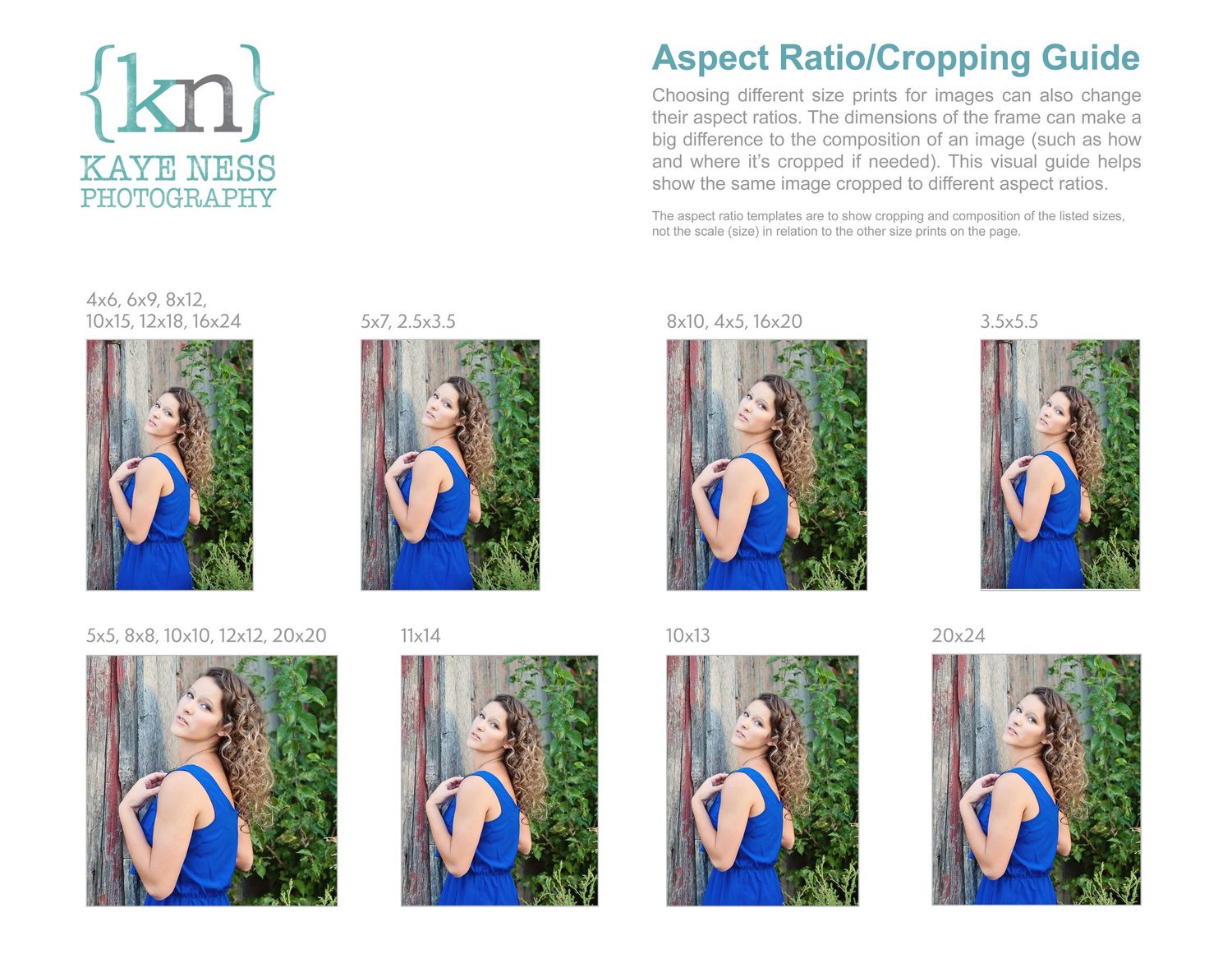 Photography aspect ratio and cropping guide showing various composition options.