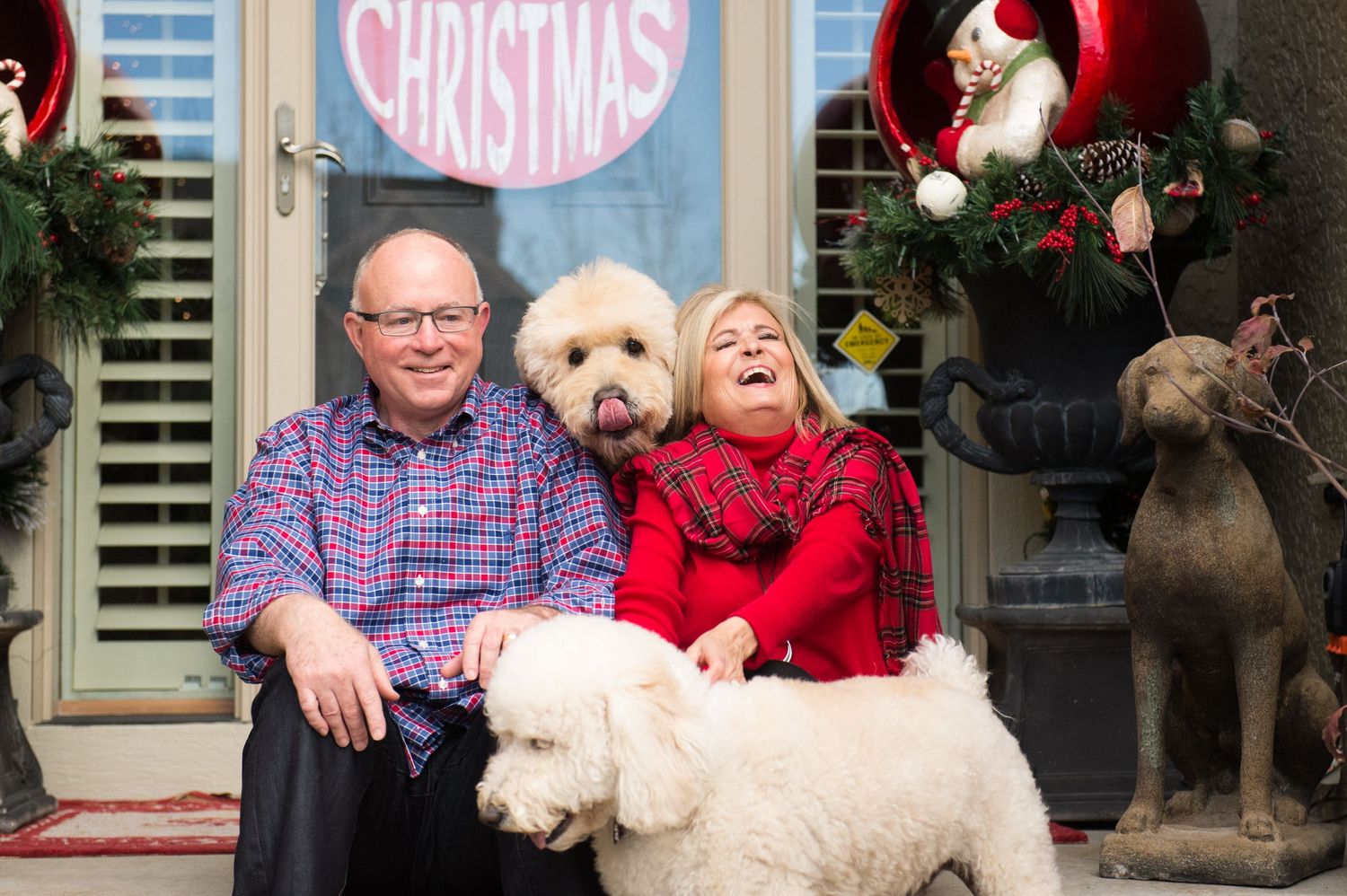 A group of festive photos showing dogs and people celebrating Christmas with decorations and holiday cheer.