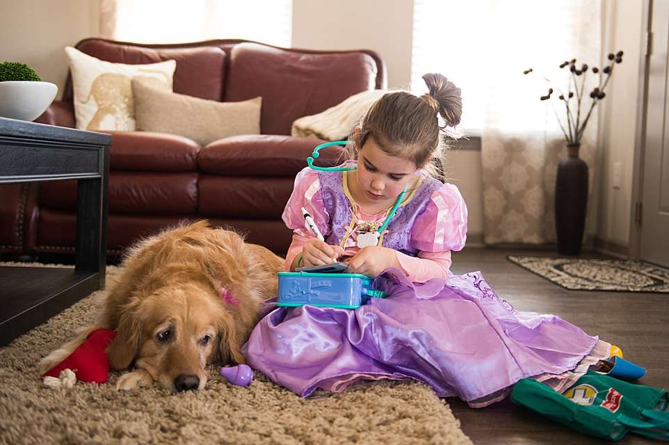 A young girl in a princess dress plays with a Golden Retriever on a living room carpet.