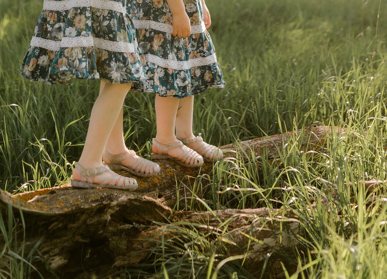 Candid family portrait with natural light and movement