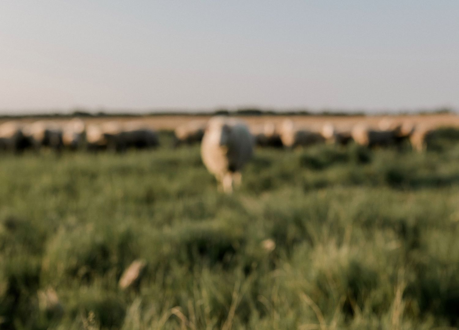 Candid family portrait with natural light and movement in south dakota