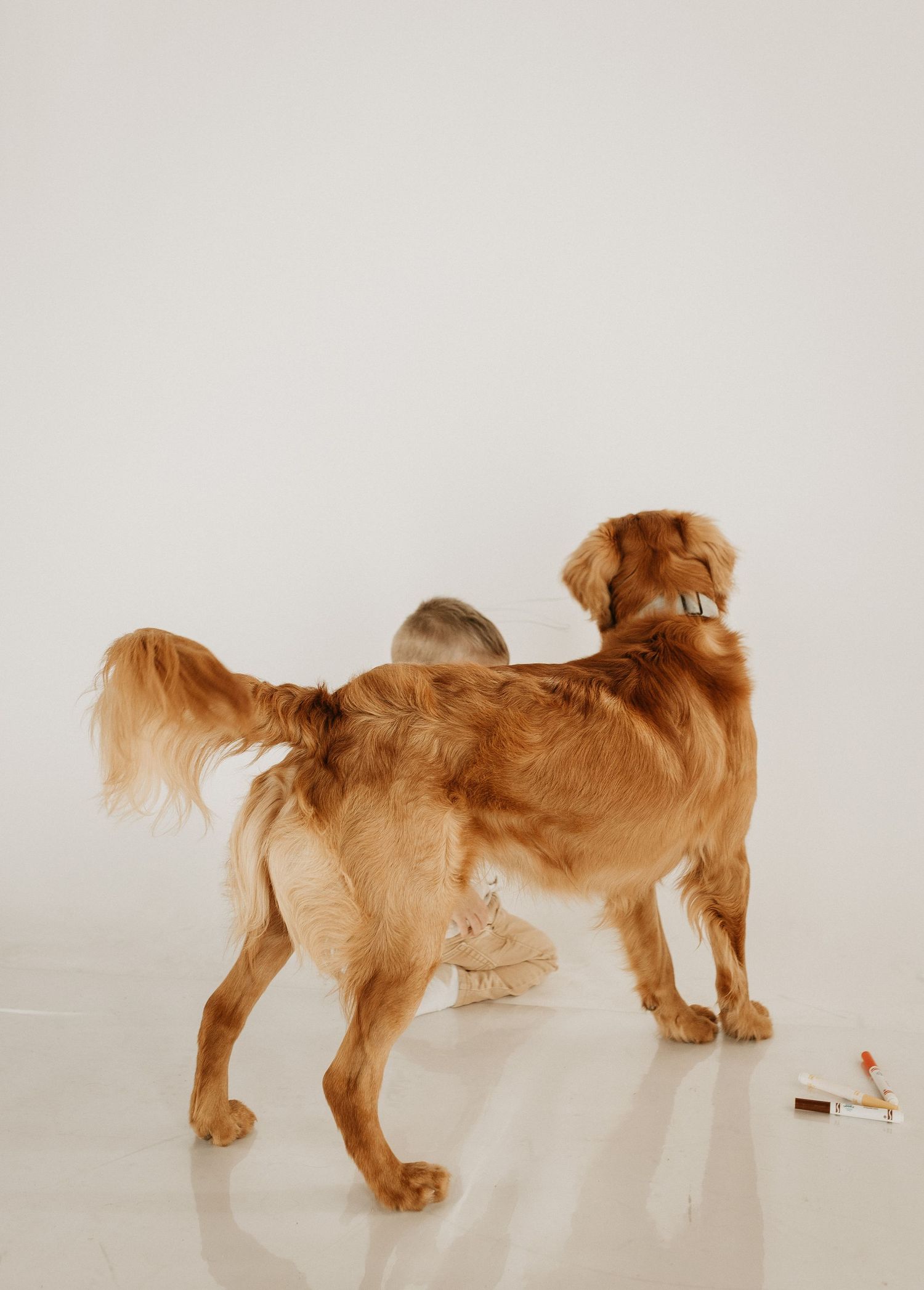 Mini photography session with Catie K Photography in natural light studio