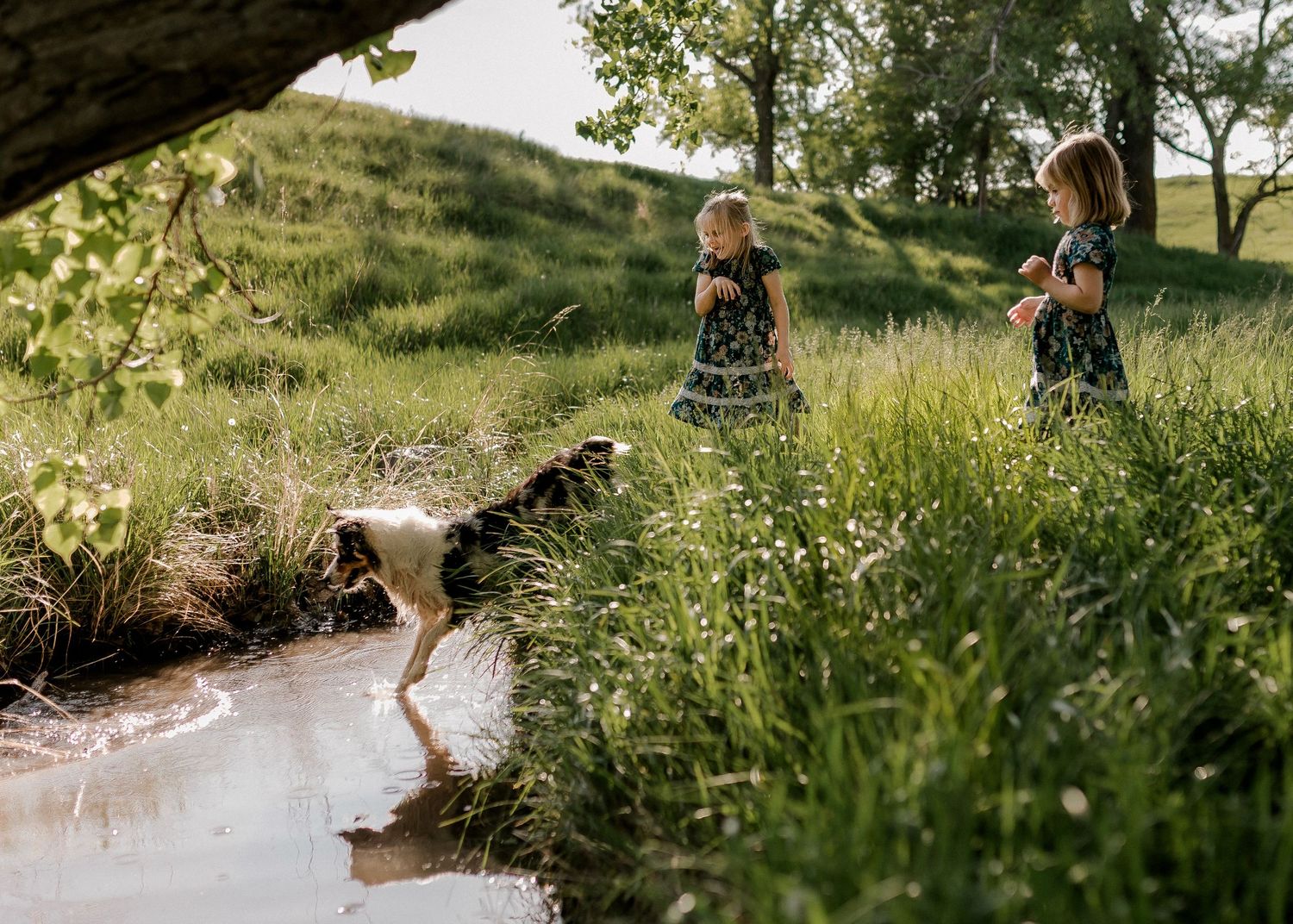 Candid family portrait with natural light and movement