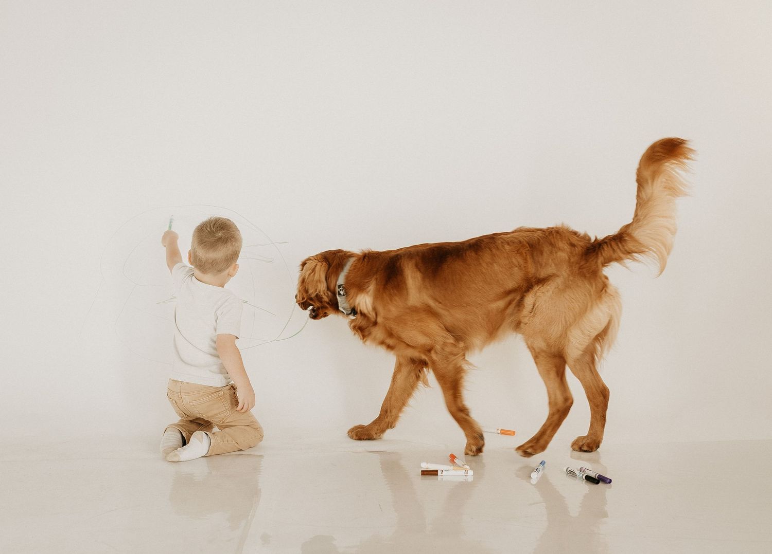 Mini photography session with Catie K Photography in natural light studio