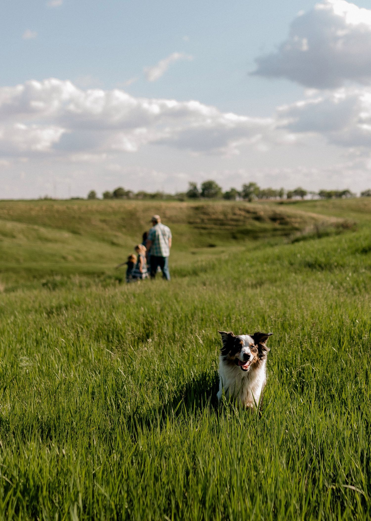 Candid family portrait with natural light and movement