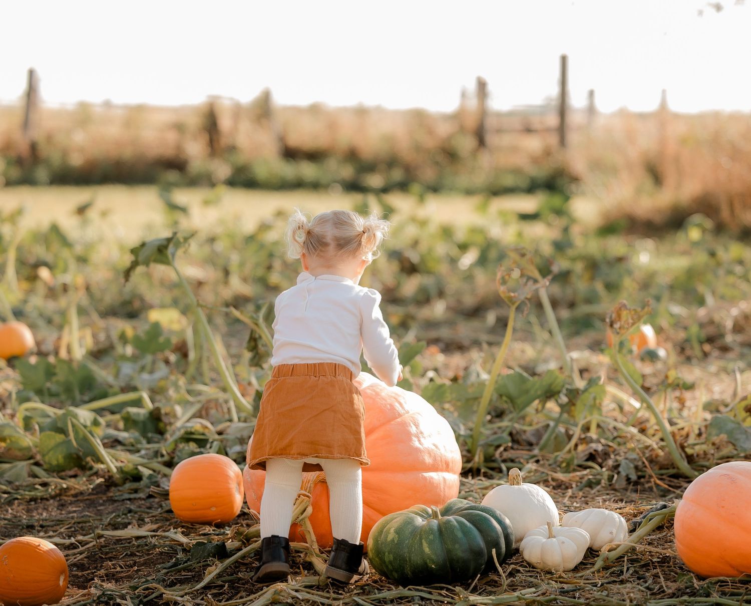 Relaxed mini photo session capturing natural expressions with Catie K Photography