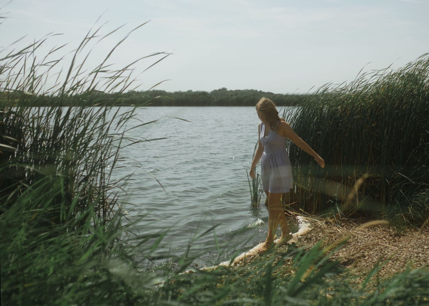 Young woman in a blue dress standing by a serene lake shore surrounded by tall reeds and lush greenery.