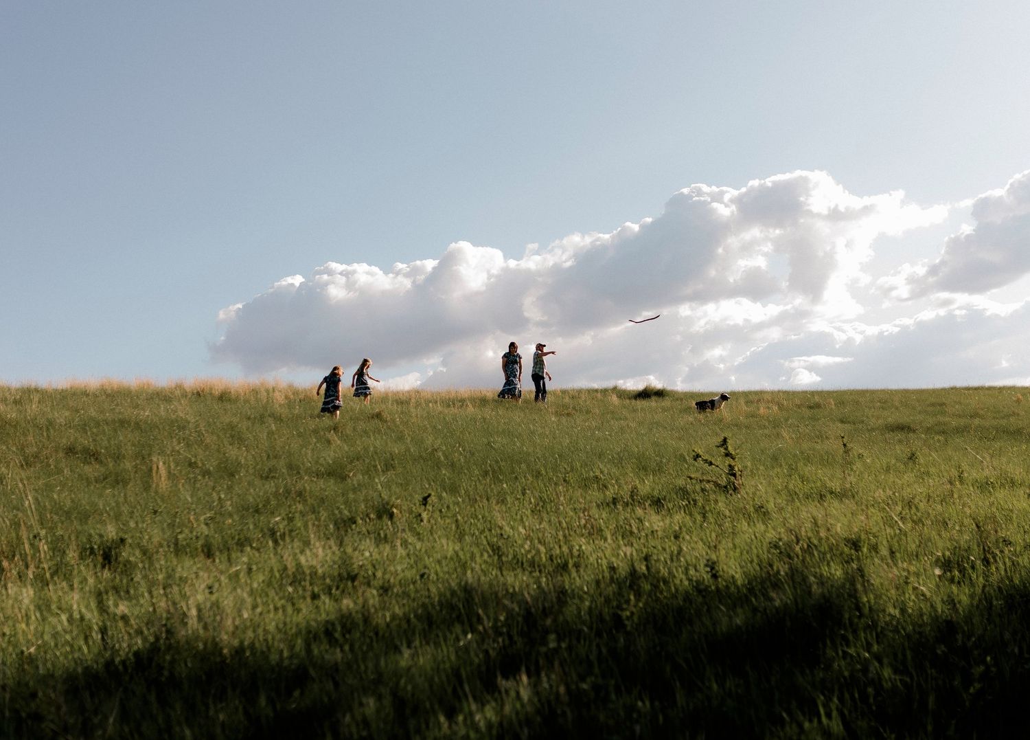 Candid family portrait with natural light and movement