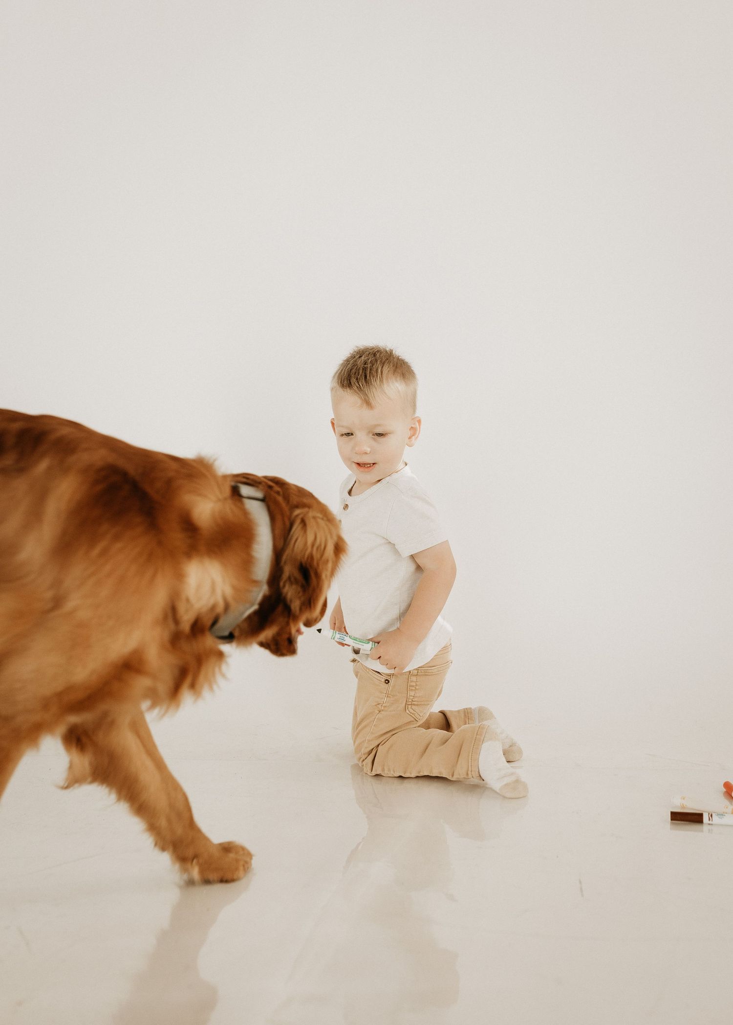 Mini photography session with Catie K Photography in natural light studio