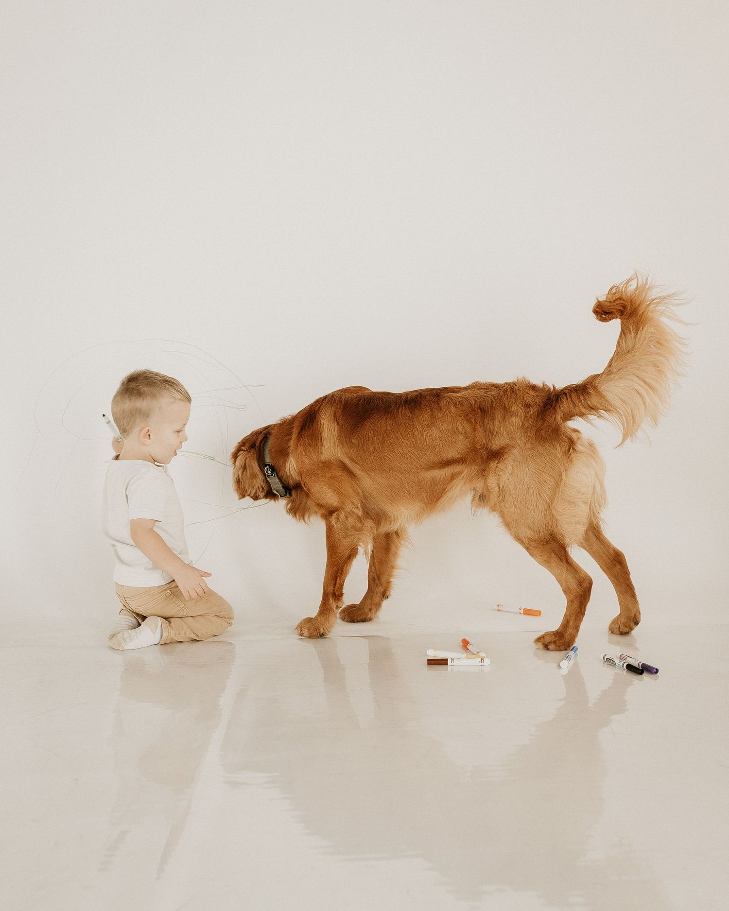Mini photography session with Catie K Photography in natural light studio