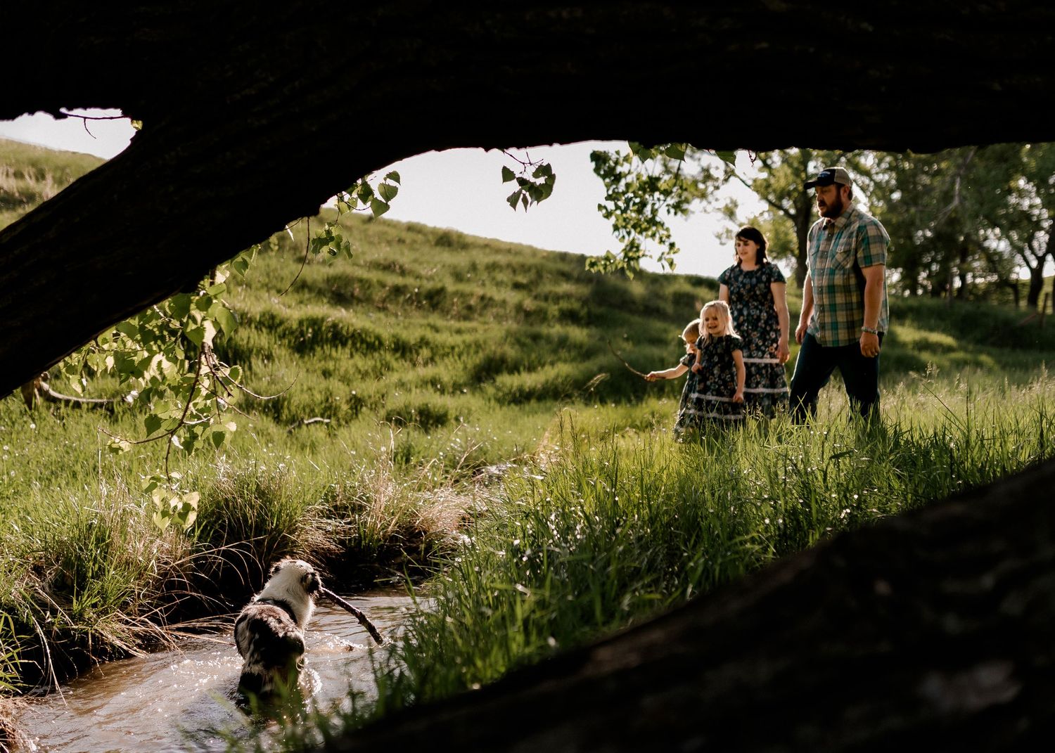 Candid family portrait with natural light and movement