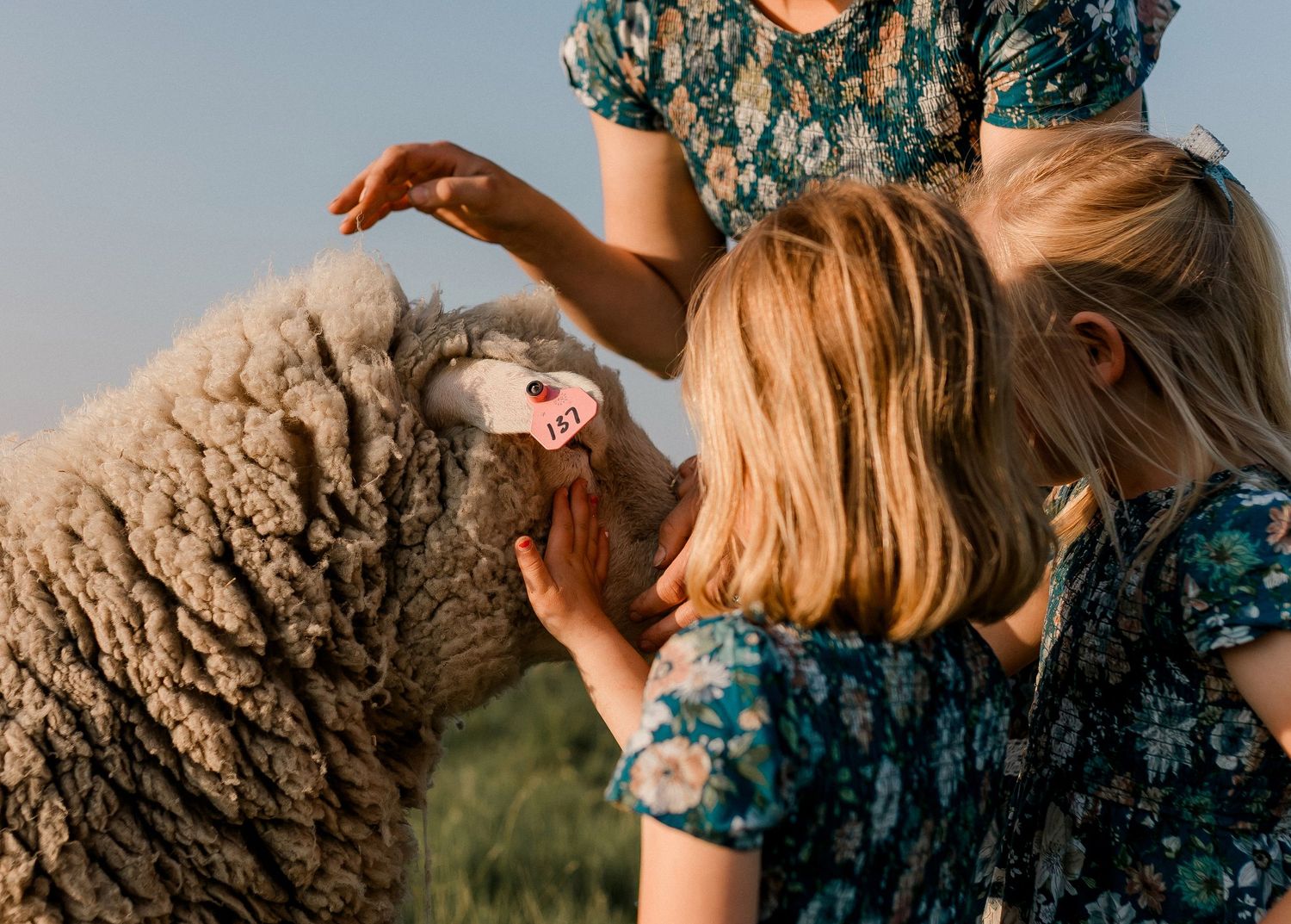 Candid family portrait with natural light and movement in south dakota