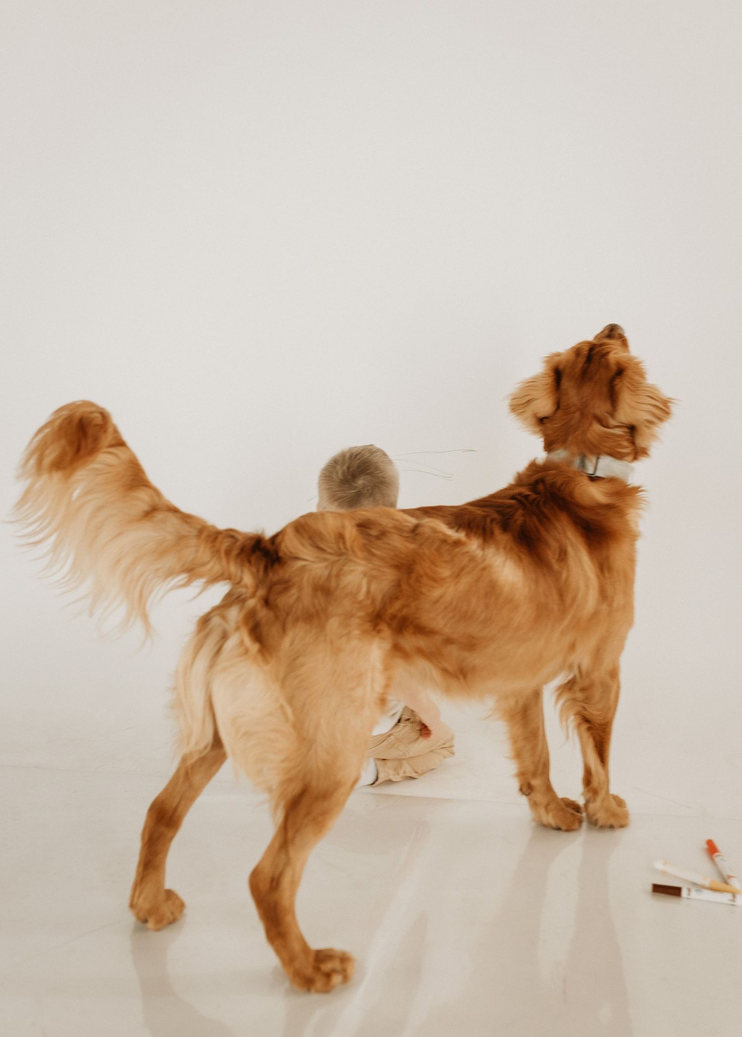 Mini photography session with Catie K Photography in natural light studio