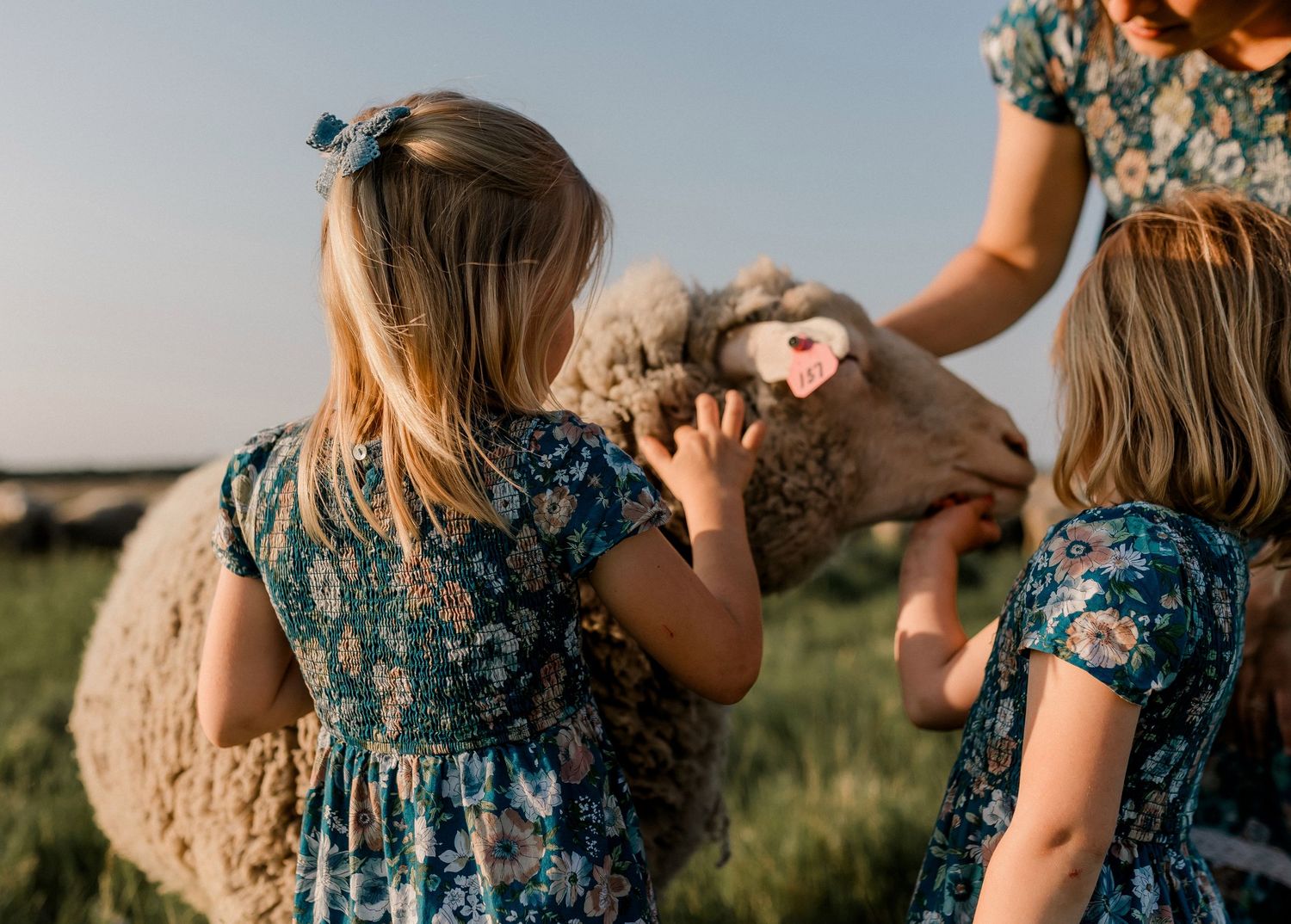 Candid family portrait with natural light and movement in south dakota