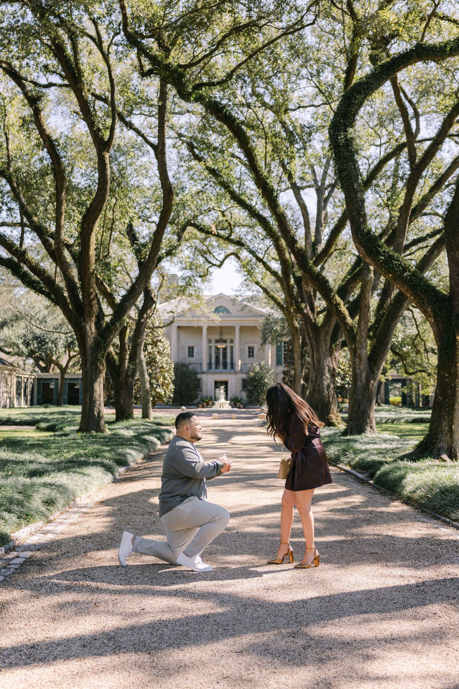 beautiful trees, a man down on one knee to propose to his partner LOUISIANA WEDDING PHOTOGRAPHER NEW ORLEANS LONGUE VUE HOUSE AND GARDENS