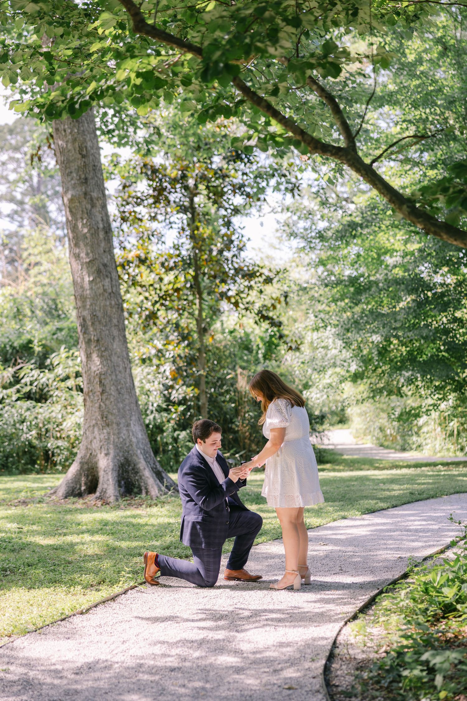 beautiful trees, man down on one knee proposes to his partner in a delicate white dress LOUISIANA WEDDING PHOTOGRAPHER LSU HILLTOP ARBORETUM