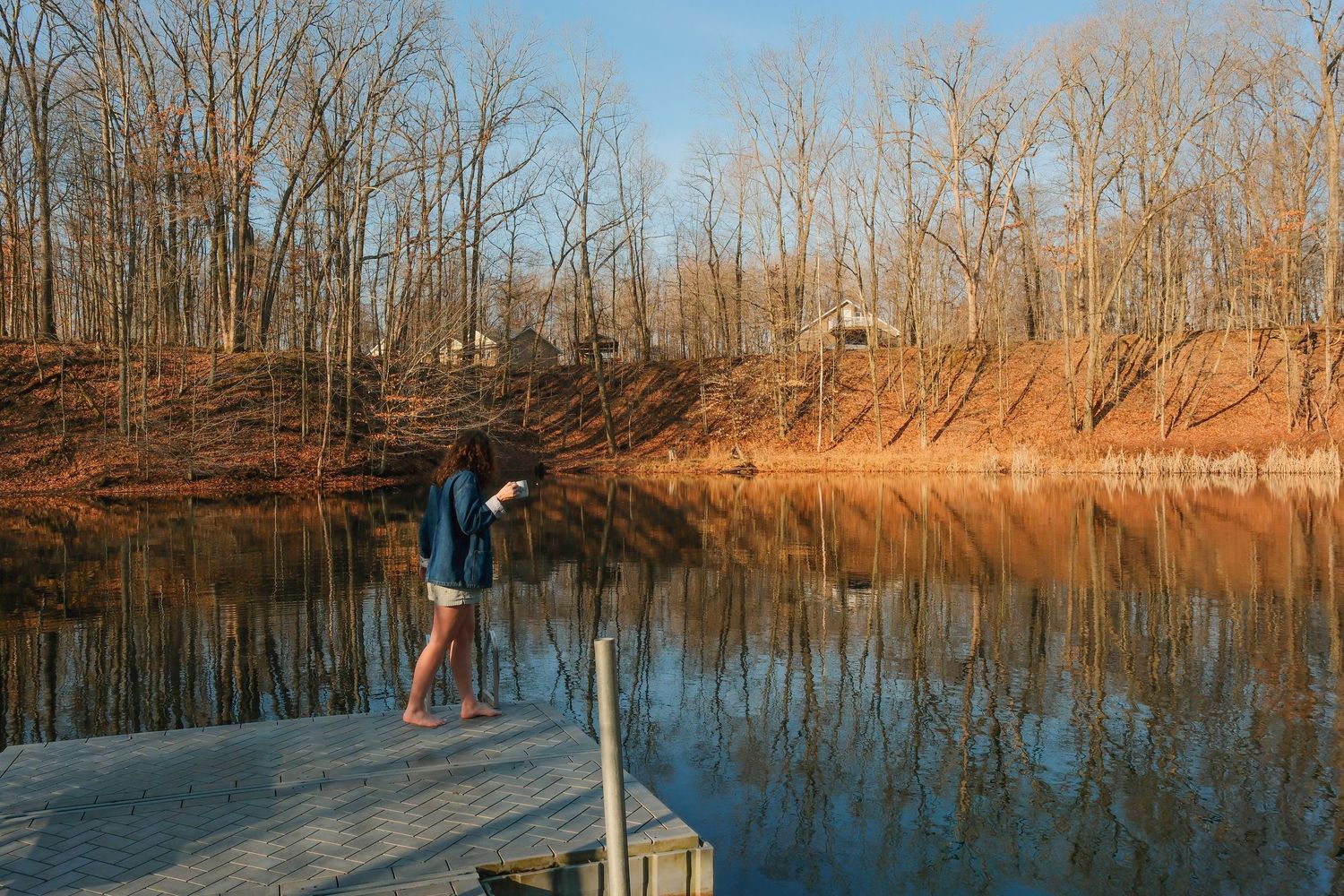 A serene lake surrounded by bare winter trees reflects the golden afternoon sunlight on its calm surface.