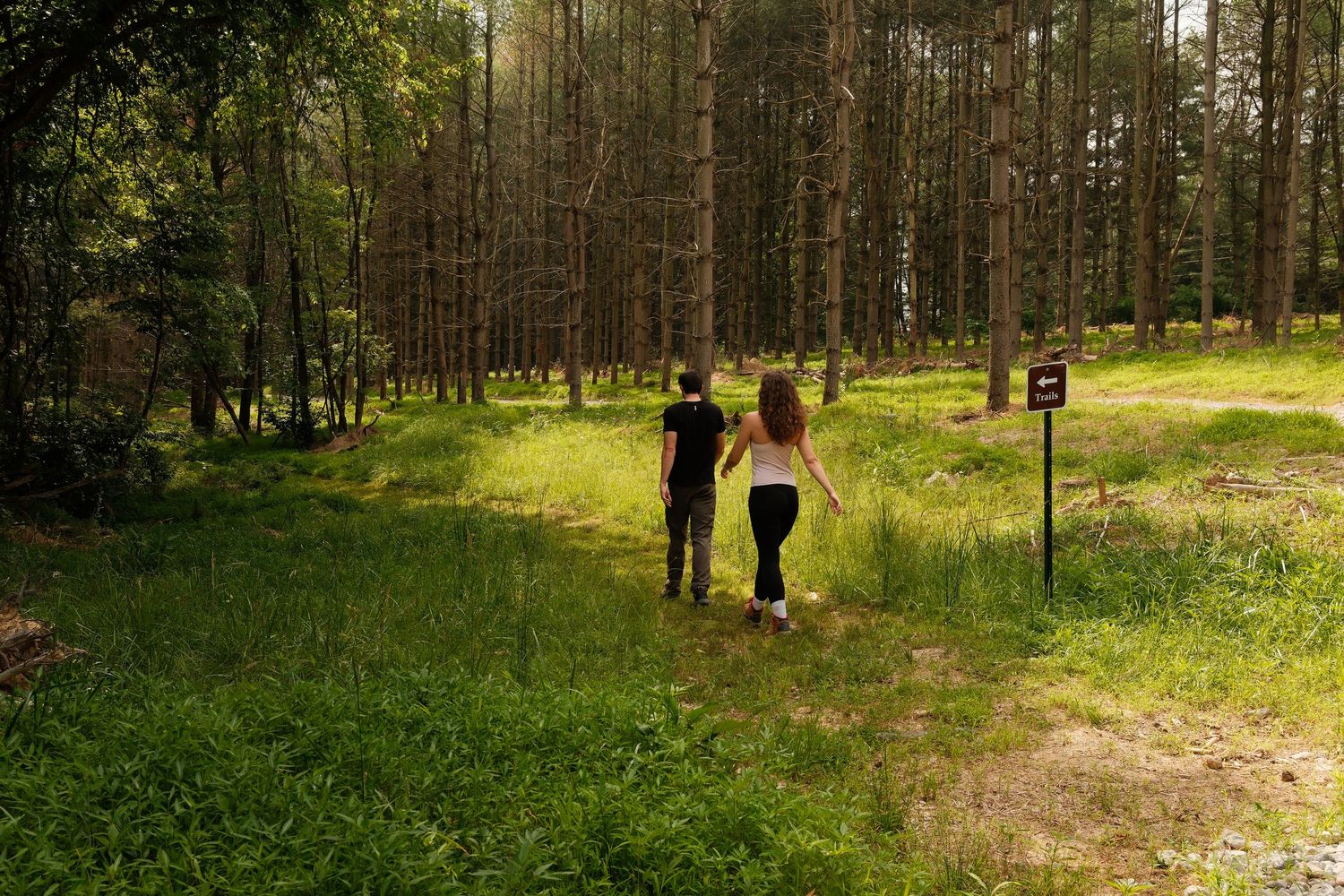 A couple walks hand in hand through a sunny green forest clearing near a wooden trail sign.