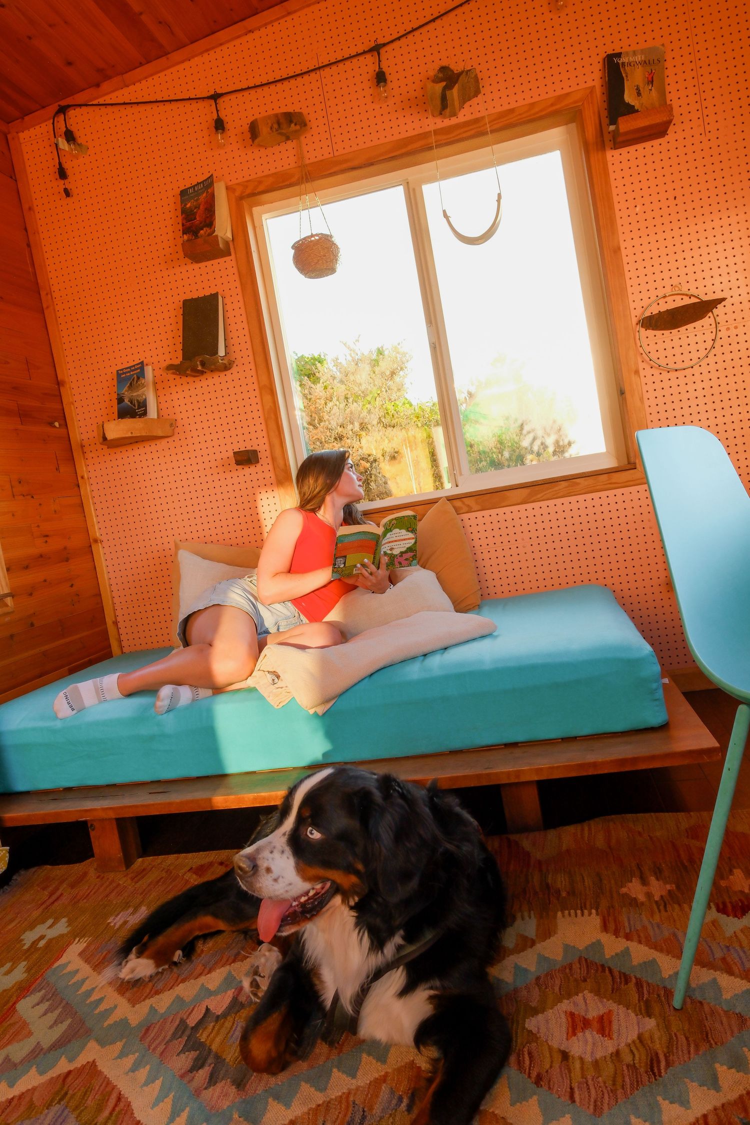 Woman reading a book on a teal daybed in an orange cabin with a Bernese Mountain Dog resting on a colorful rug.