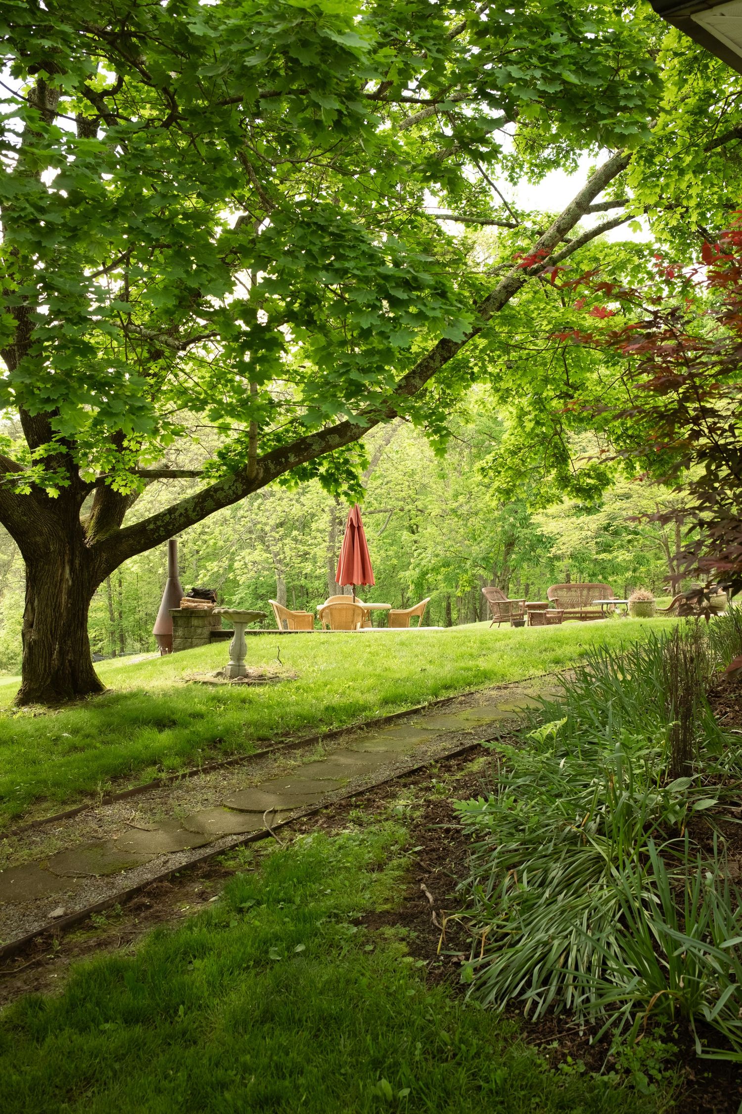 Lush green trees and landscaping create a serene pathway through a garden.