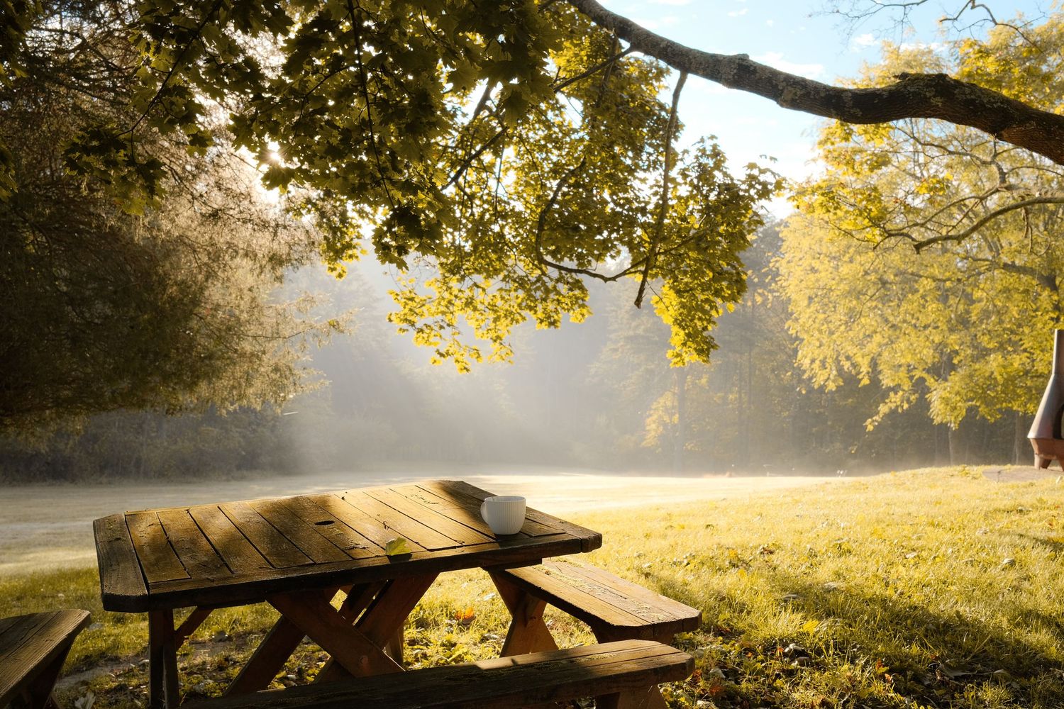 Sunlit autumn trees cast golden light over wooden picnic tables in a misty morning landscape.