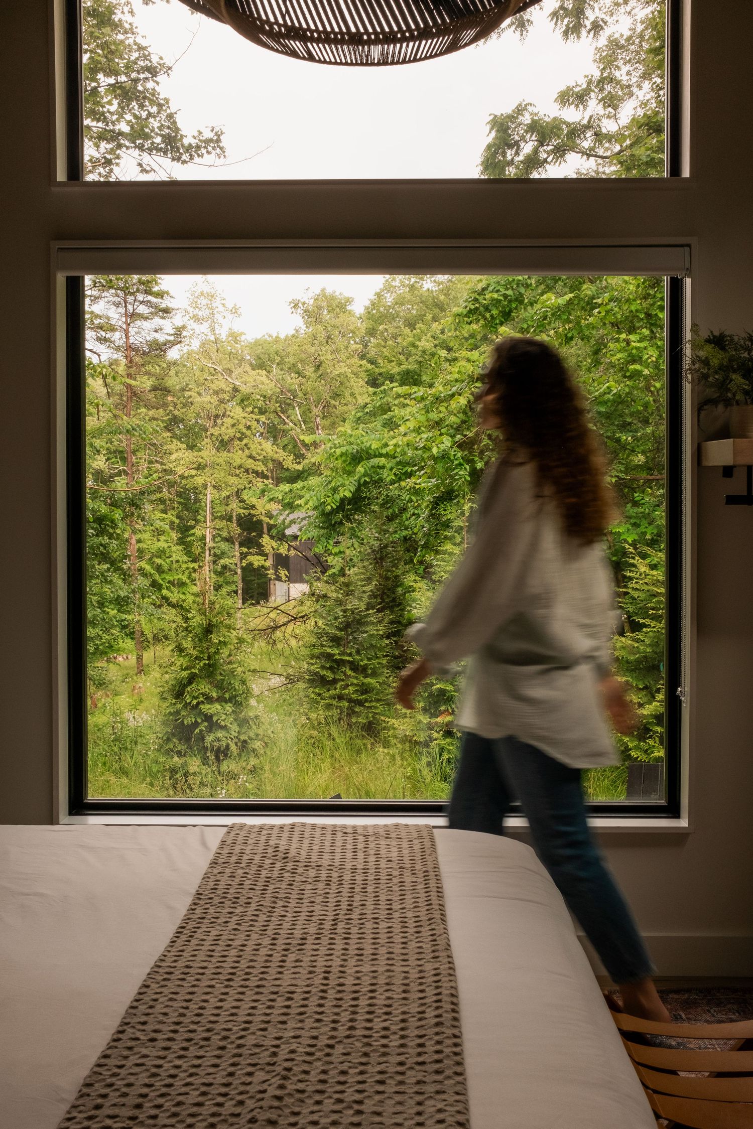 Modern interior space with large windows offering views of surrounding greenery.