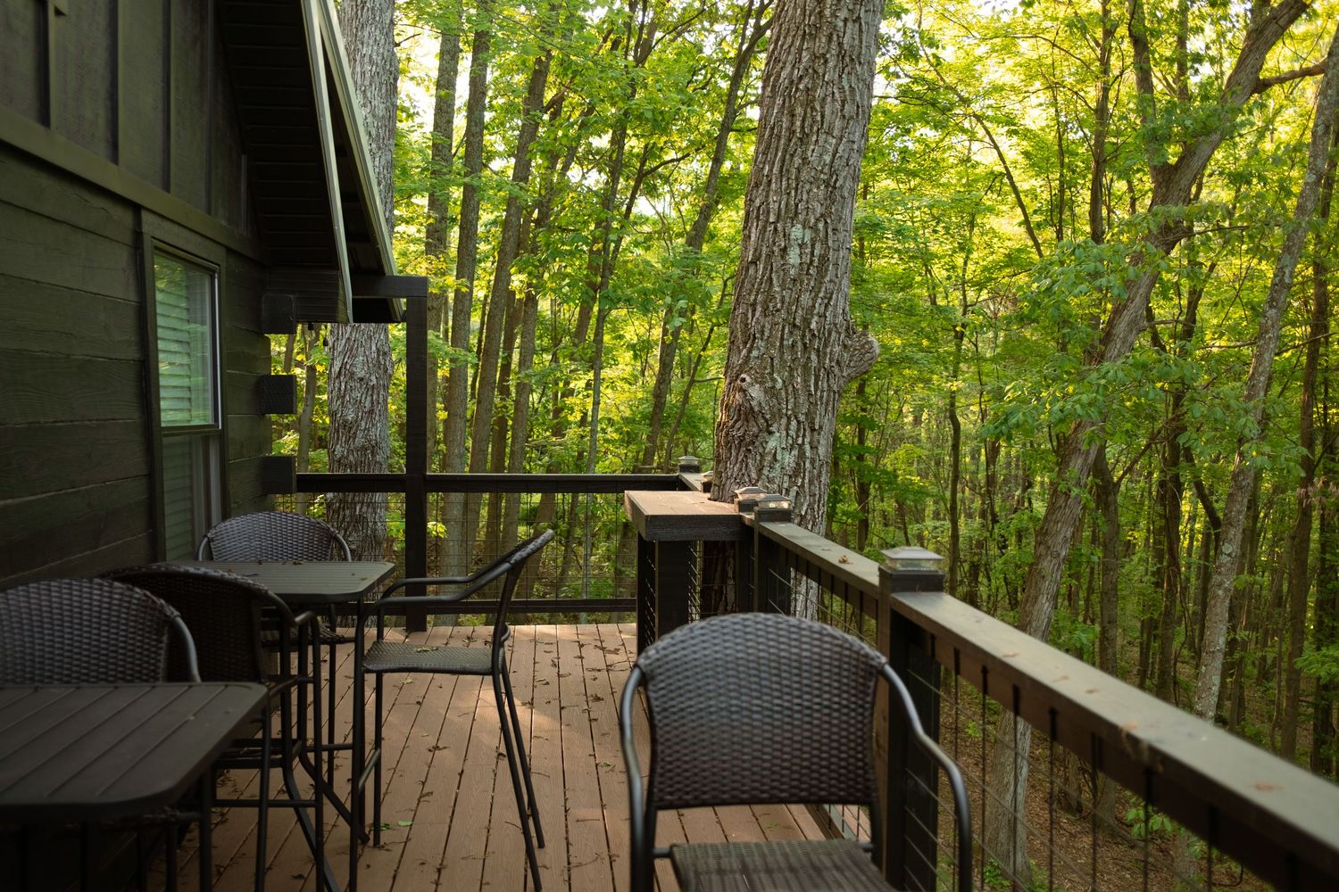 Spacious covered deck with modern furniture overlooking dense forest.