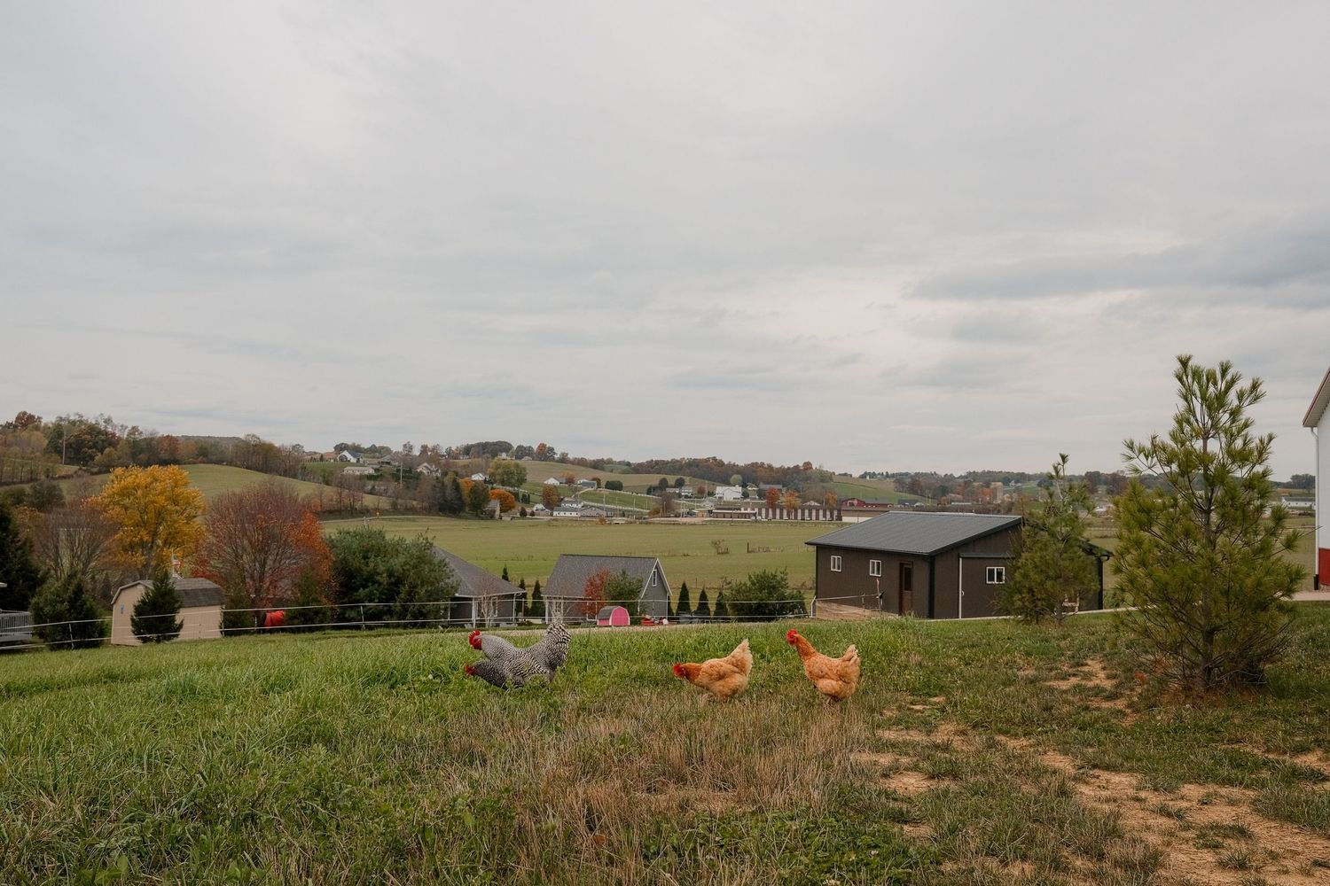 Panoramic view of rolling hills and countryside with modern buildings in the distance.