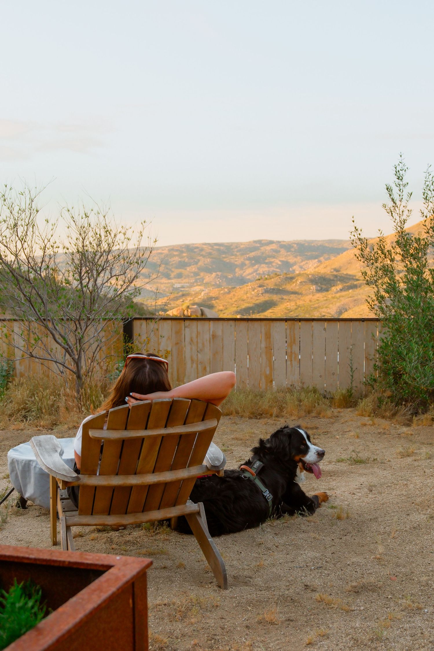 Woman relaxing in Adirondack chair with Bernese Mountain Dog enjoying golden hour sunset view over rolling hills.