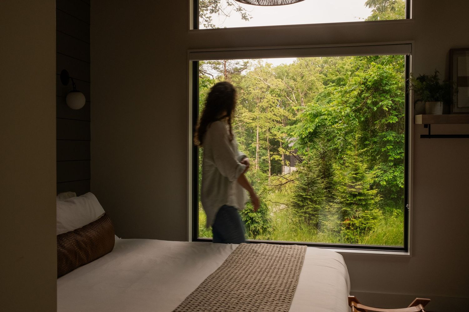 Large window framing green forest view from modern interior space.